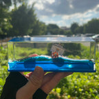 Floating Merry Bottle